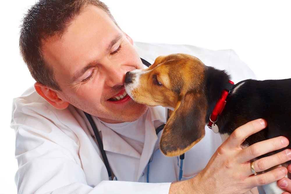 puppy licking its vets face